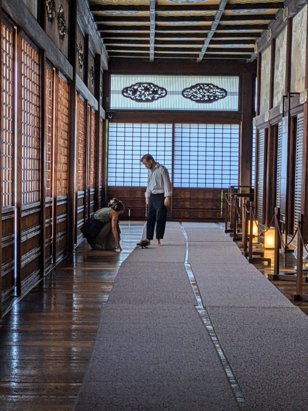 Meno ir mokslo laboratorija būsimai premjerai ruošėsi Japonijoje